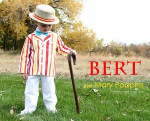Niño disfrazado de Bert