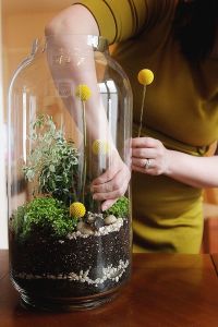 Ideas creativas para un hogar ecológico - plantas